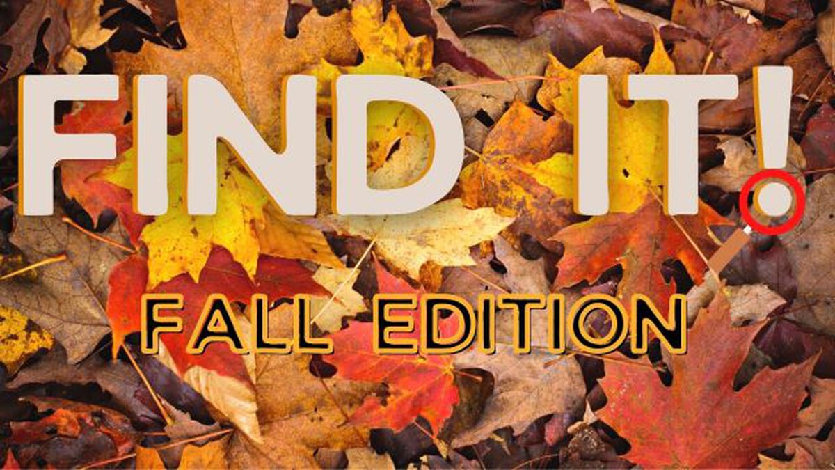 Find It! Fall Edition image number null